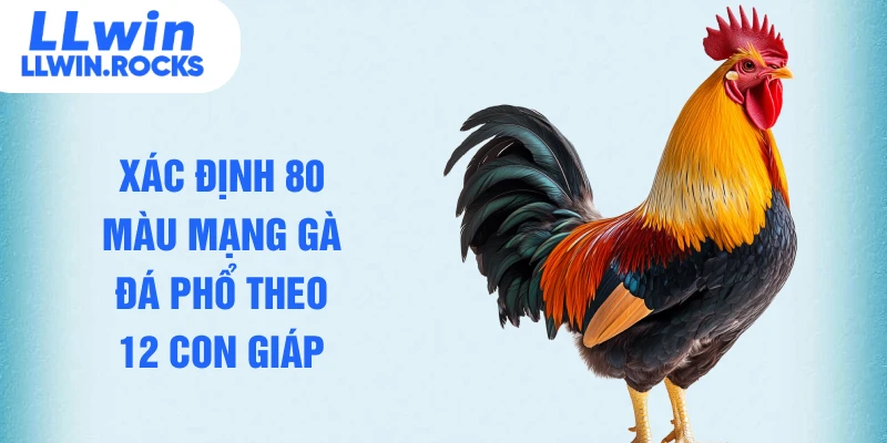 Xác định 80 màu mạng gà đá phổ theo 12 con giáp
